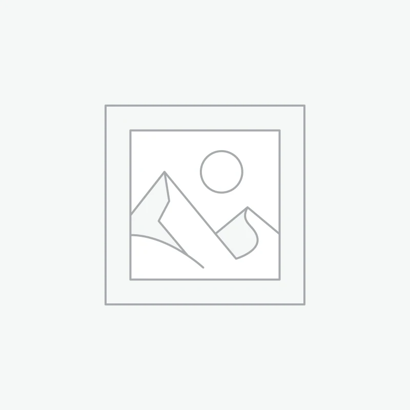 Tapis Berbère Vintage Azilal - 60x98cm